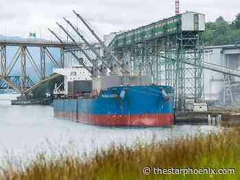 Criticism of Bunge-Viterra merger grows as Ottawa reviews proposed deal