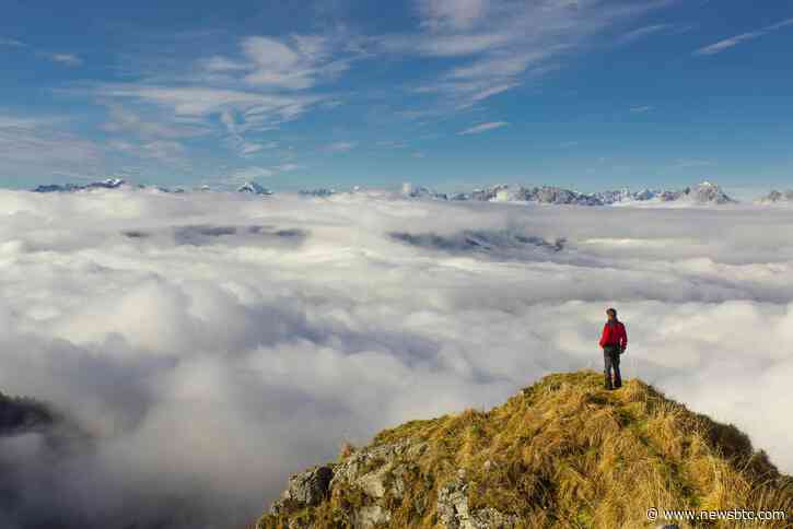 Chainlink (LINK) To Hit New Highs? Analysts Predict $25 Target