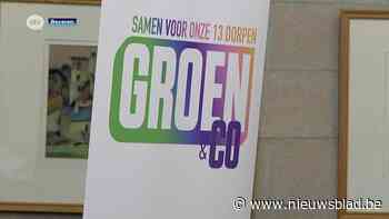 Inwoners in Zwijndrecht staan voor speciale gemeenteraadsverkiezing