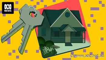 Dead animals, stolen heirlooms and hidden cameras – the risks of using house-sitting apps