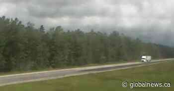 Rainfall warnings issued for parts of Alberta; some areas could see up to 80mm