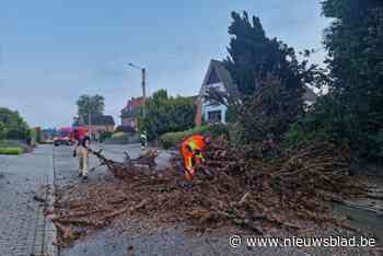 Kerkhenis zonder stroom na zware onweersbui in Tongeren