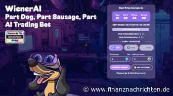 Krypto-Experte erklärt: Der Bärenmärkt ist zurück!