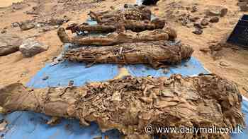 Hidden 'City of the Dead' with more than 300 tombs that contain mummified families is discovered in Egypt