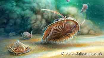 Prehistoric creature discovered encased in ash - as scientists give it fitting nickname