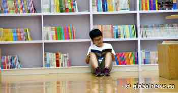 Summer reading contest rewards Edmonton book lovers — young and grown