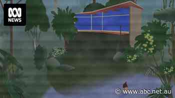 'We keep finding things that are not right': Should you trust a house-sitter from the internet?