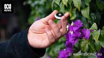 Laws struggle to keep up as digital trackers increasingly used by domestic abusers