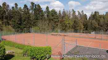 Betreuung in Calw: Für Waldkindergarten in Alzenberg liegt nun ein Konzept vor