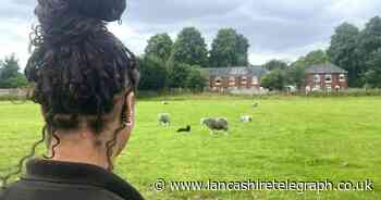 Upset and anger as Ainsworth farm targeted by young yobs