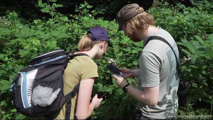 Almere - Studenten proberen binnen 24 uur zo veel mogelijk soorten dieren en planten te spotten