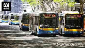 Brisbane City Council warns of stranded bus passengers during 50c fares trial