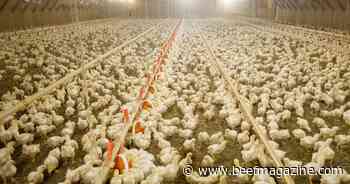 Farm Progress America, June 28, 2024