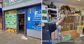 The Pet Lodge Eltham loses licence over concerns for animals