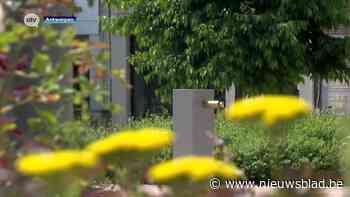 Na lek in leiding komt er opnieuw water uit fonteintjes van Park Zuid in Antwerpen, Water-link onderzoekt nu rest van het domein