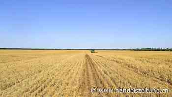 Die Ukraine bleibt der Brotkorb der Welt