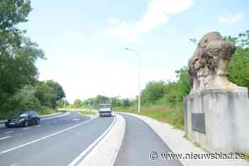 Vlaamse Waterweg restaureert beschermde bizons op Ohiobrug