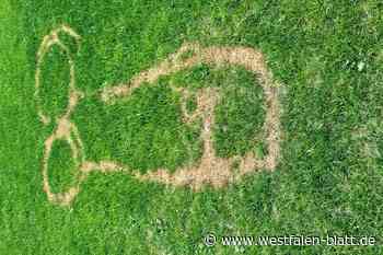 Fußballplatz in Nieheim mit Phallussymbolen verunstaltet