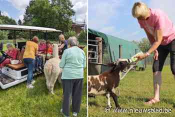 Zorgboerderij Het Groene Anker investeert volop in nieuwe bewoners: “We hebben hier al zo veel plezier beleefd”