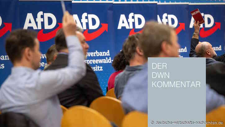 Die DWN-Chefredaktion kommentiert: Die innere Zerrissenheit der AfD manifestiert sich in Brandenburg
