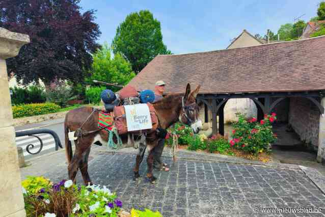 Trektocht met ezel Berry eindigt vlak voor Parijs: “Te druk door de Olympische Spelen”