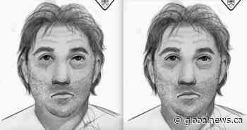 Suspect sought in 2015 sexual assault of 7-year-old: OPP