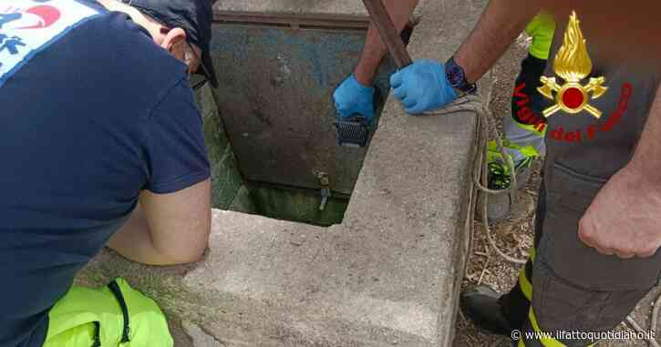 Vincenzo Lantieri, il bambino di 10 anni caduto nel pozzo. Un testimone: “I soccorsi sono arrivati dopo due ore. Si poteva evitare”