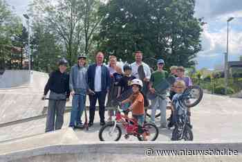 Skatecontest Benihana wordt meer dan alleen wedstrijd: “Het is nu een klein festival met workshops, muziek en skaten”