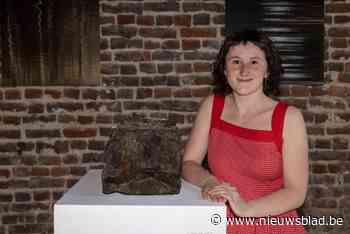 Expo haalt ‘vulvabeeld’ uit de vergetelheid: “Kraagsteen uit 11e eeuw stelt vruchtbaarheid voor”