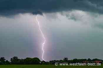 Starkregen: Welche einfachen Tipps Hausbesitzer beherzigen sollten