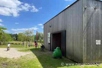 Ontdek de schatten van vos in Temse