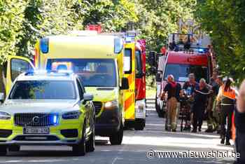 Vliegtuigje met man en vrouw aan boord neergestort: hulpdiensten massaal uitgerukt