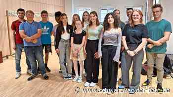 Früh übt sich: Jugendbeirat: Schüler wollen etwas in Calw bewirken