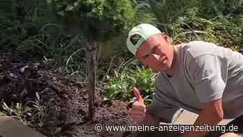 „Der ist top“: DFB-Star entdeckt „Turnierbaum“ und beweist grünen Daumen