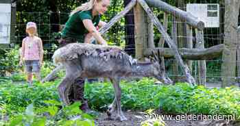 Dierenpark baalt van voerende bezoekers, waardoor beesten zelfs sterven: ‘Houd daarmee op!’