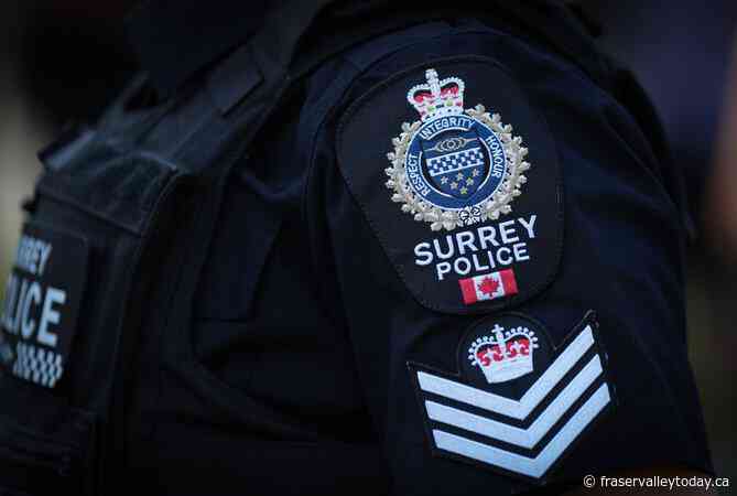 Ontario man charged with slaying B.C. woman Tori Dunn was already facing assault case