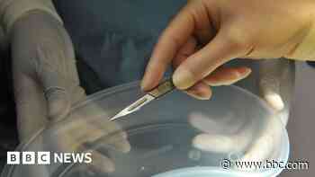 Council warning over backstreet butt lifts