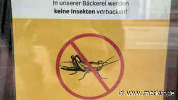 Bäckerei-Schild aufgetaucht: „Keine Insekten verbacken“ – Bäcker-Innung erklärt Hintergrund