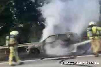 Auto in lichterlaaie op E313 in Paal