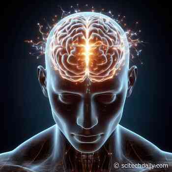 Neuroscience Breakthrough: A Non-Invasive New Therapy for Addiction, Depression, and OCD