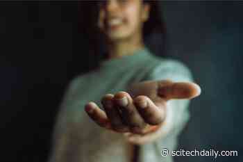 The Neuroscience of Generosity: Why Some Give More Than Others