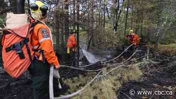 Ontario forest firefighters call for new job classification that would compensate them for dangerous work