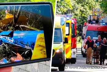 Vrouw sterft bij vliegtuigcrash, piloot naar ziekenhuis: “ Het scheelde niet veel of het was op een huis neergestort”