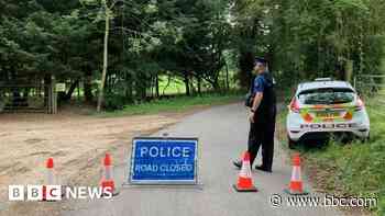 Pilot died after striking trees in foggy conditions