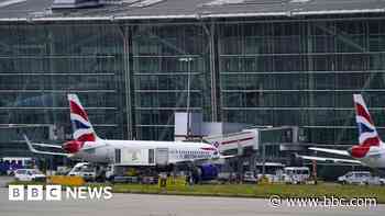 Dozens of campaigners held over alleged airport plans