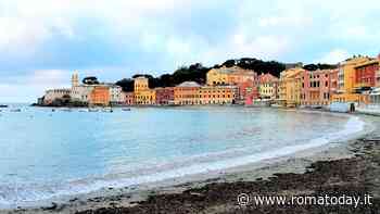 Mete estive in Liguria: un incanto da scoprire