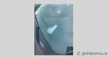 12 rocks or heavy objects thrown from overpass in west Edmonton in 3 months