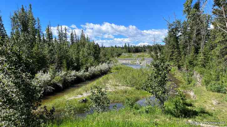 This Canada Day long weekend, you might want to get most of your fun in on Saturday...