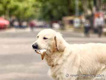 Taste of Loyalty: 5 Customer-Centric Brand Strategies