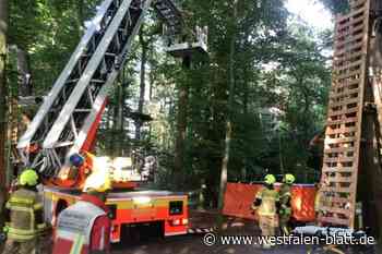 Kletterwald Paderborn: Feuerwehr rettet 25-Jährigen aus den Seilen